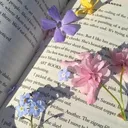 @romanceliteraturelover