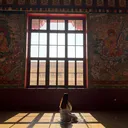 @sheetalkarkii_