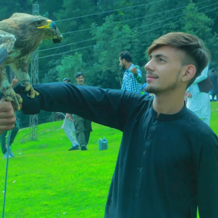 @alikhanswati4444