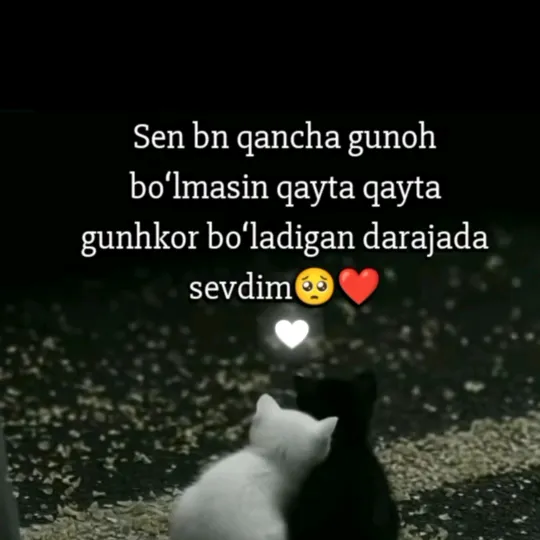 @aisham_aliyim
