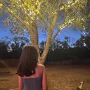 @aitusha44