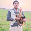 @gafarprince0