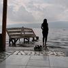 ani_nbbn20