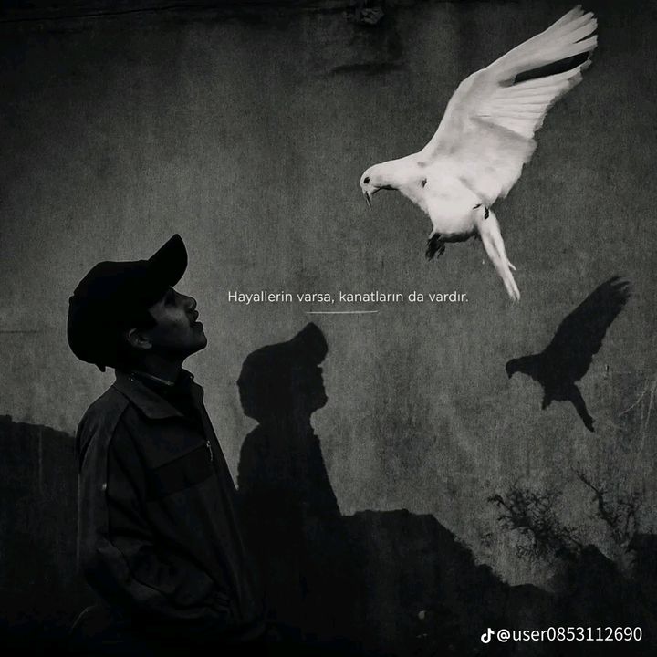 ❤️‍🩹🕊️ - original sound