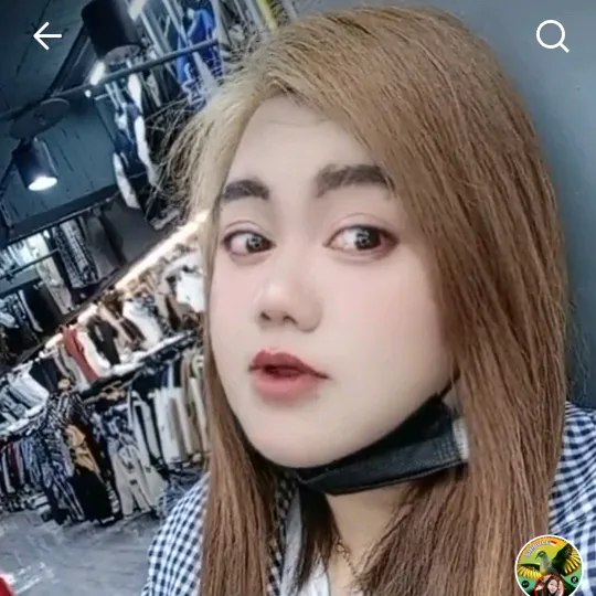 shibulelampung