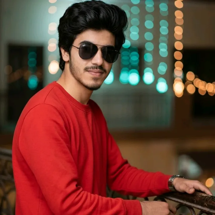313.king.sarkar