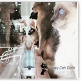 crazycatcafegc