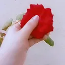 @hinajutt5555