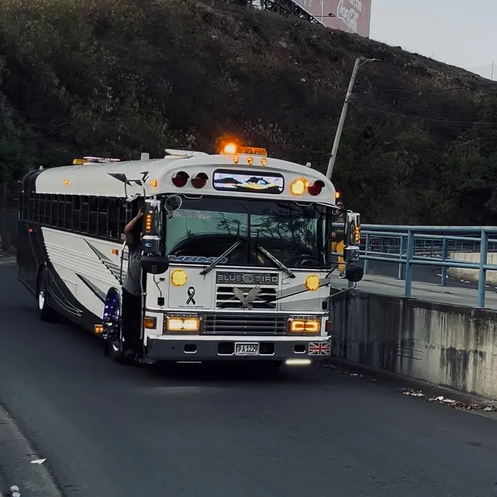 @buses_hn15