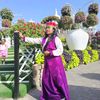 jhapalikanxi22