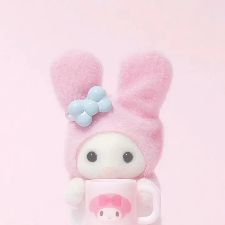 pujm25