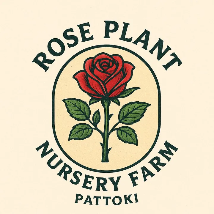 roseplants7
