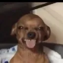 @j7.1426