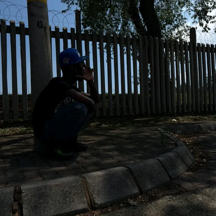 real_sllimy_tox1
