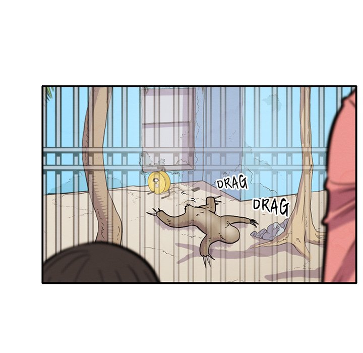 Secret Zoo - episode 13 - 11