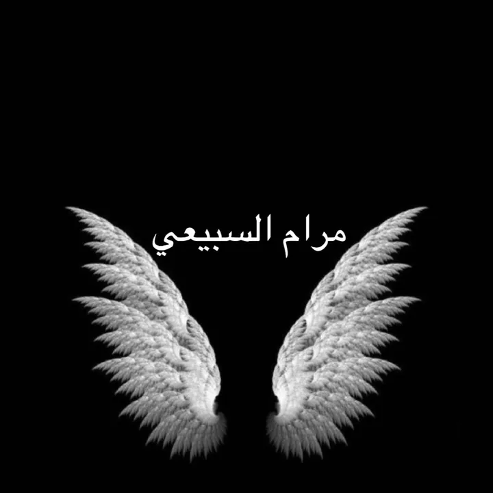 maqam.x