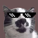 @moustachinho