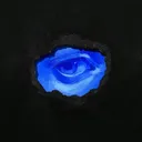 @wilt3dhopes