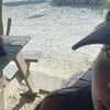 dey_5864