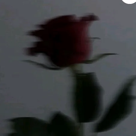 @may_evening