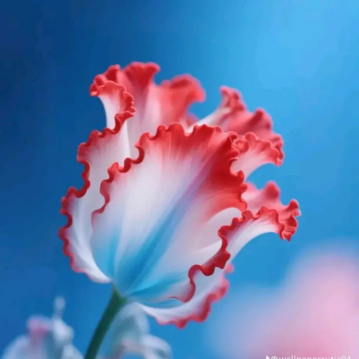 @my_world_w_