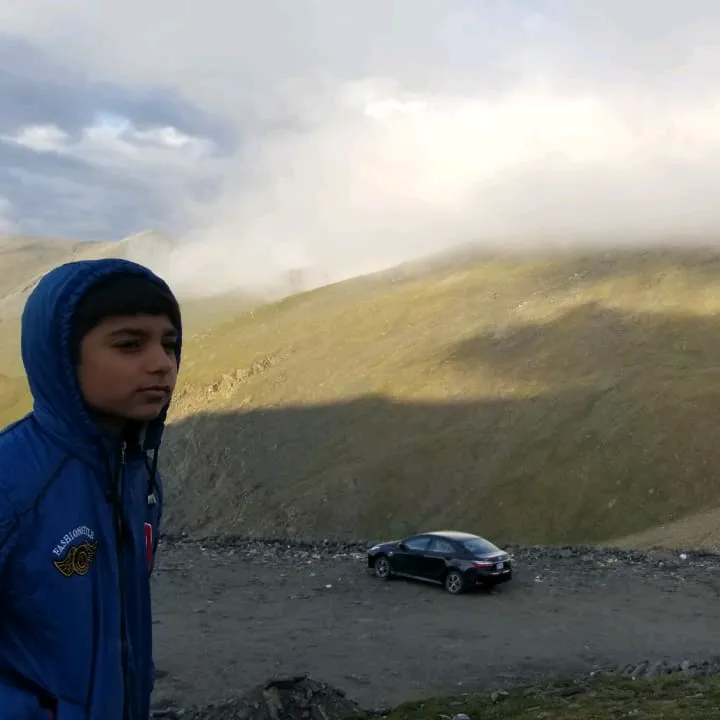 aaribhaseeb