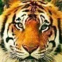 @tukkot_parsaktian777