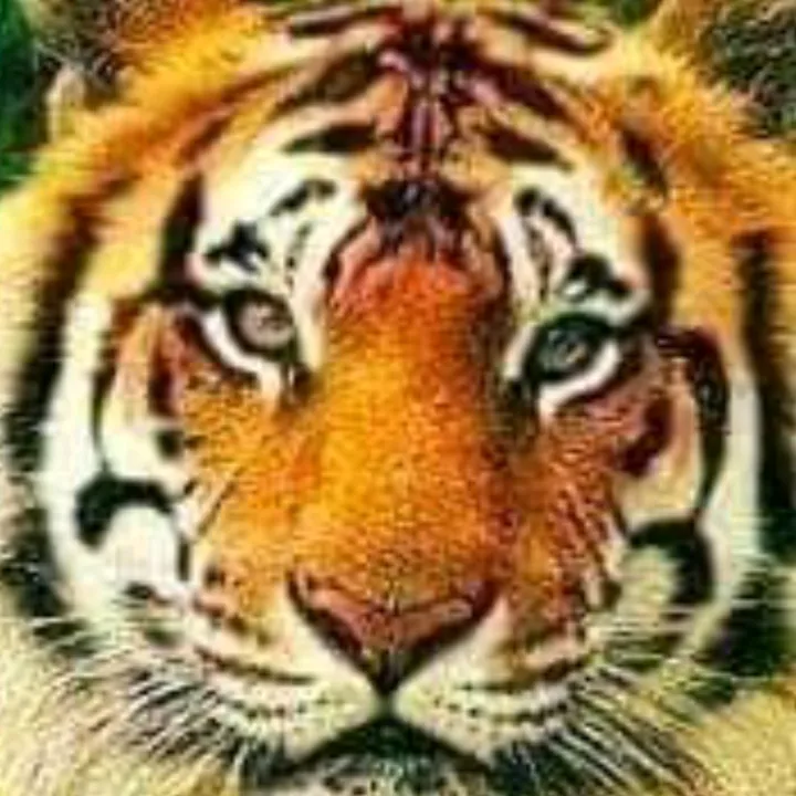 @tukkot_parsaktian777