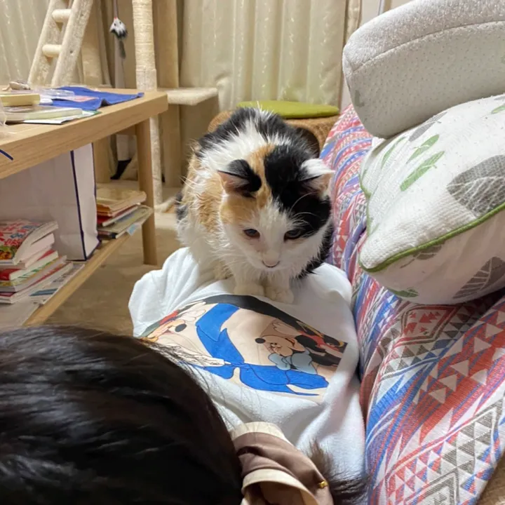 koyukichannel
