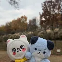 @ravenous.ferret