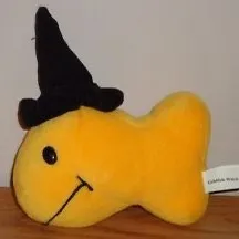 m1ffybunn