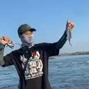 @andalanmancing
