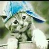 qwinkeeeee
