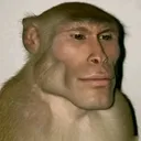@mr.gokgok03