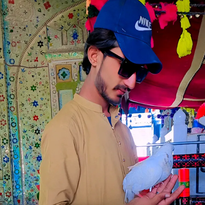 shakeelmugheri007