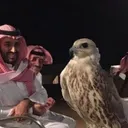 @eei12a