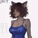 @tushk4nch1k