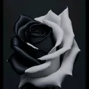@nur_umairah0729