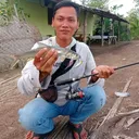 @mas.thil