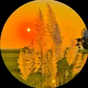 @shabanhaider1000