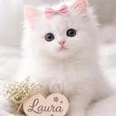 @goca_sarande_mebukur