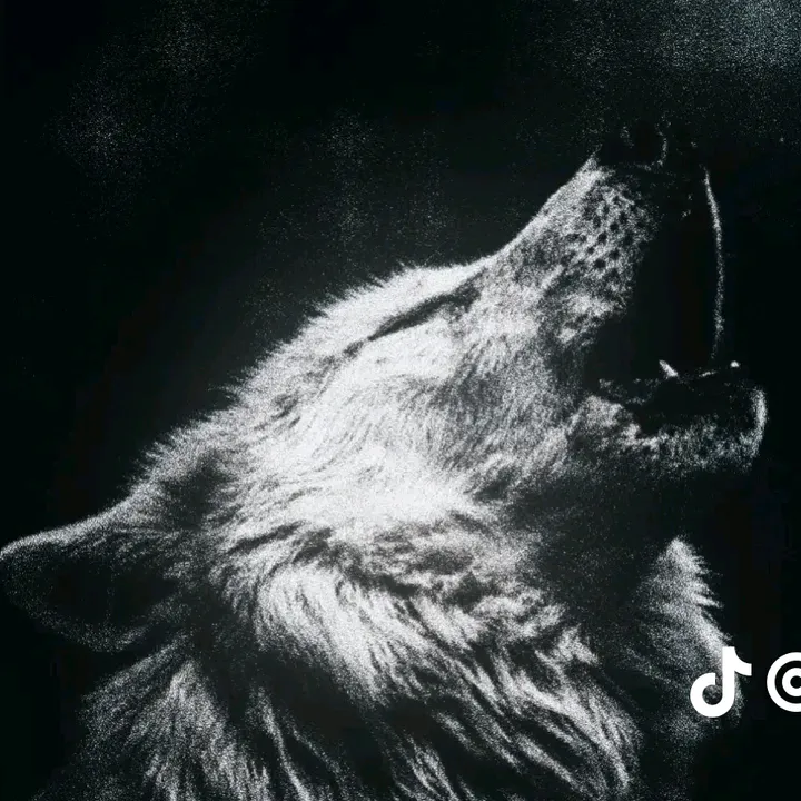 @turkungucu86