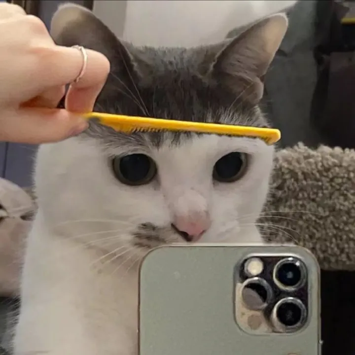 mmondaelee