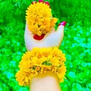 @tslemaeslam