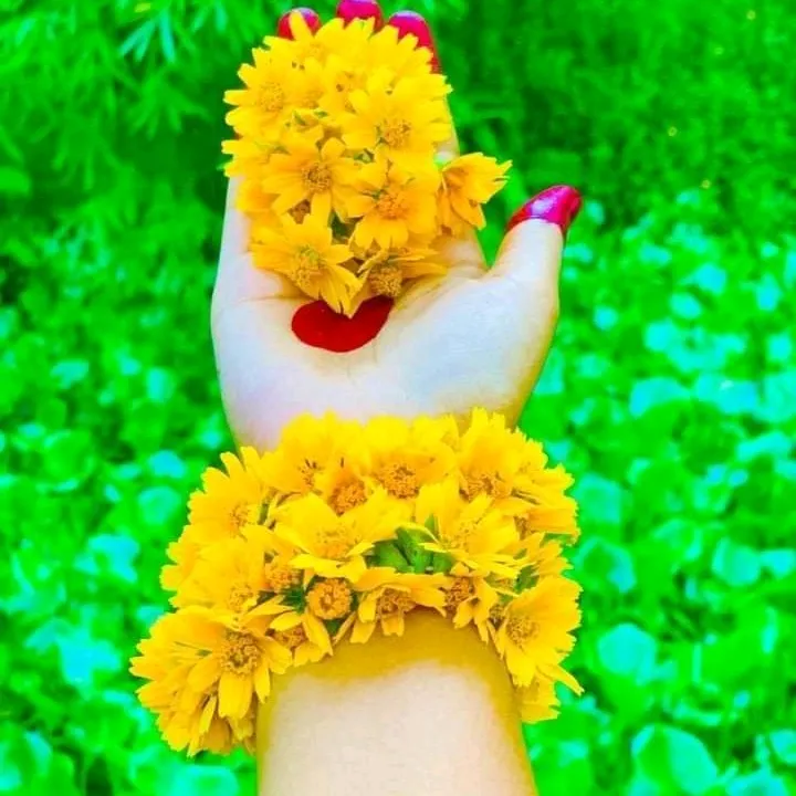 @tslemaeslam