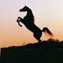 @makvinstud