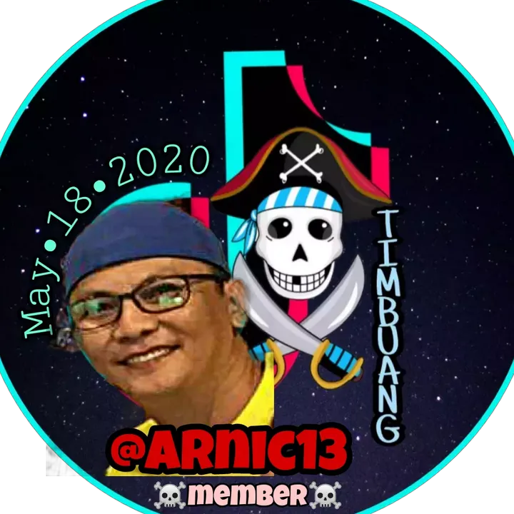 arnic13