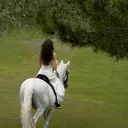 @roumyys