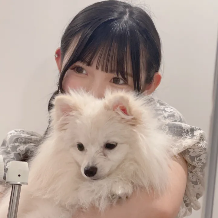 @yukimidaifukukarin