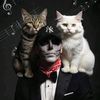 meows_for_talwiinder_fp